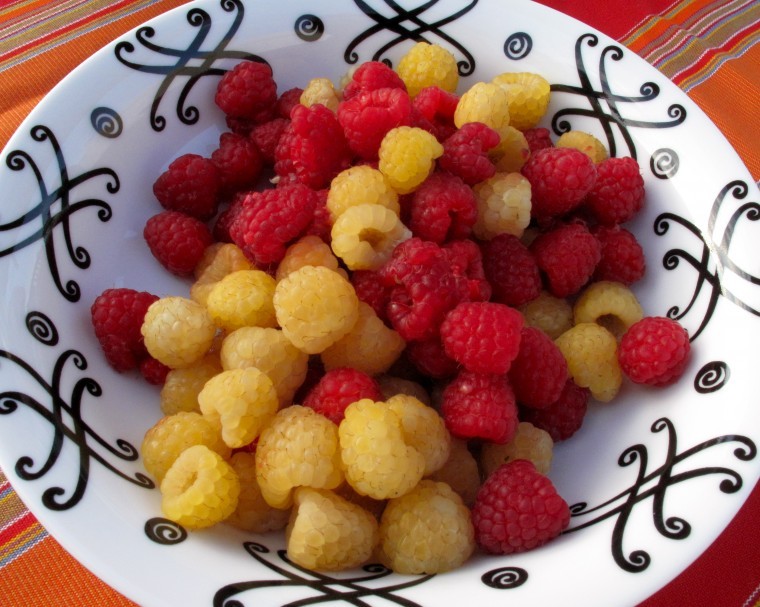 Summer fruitacular! (36550)