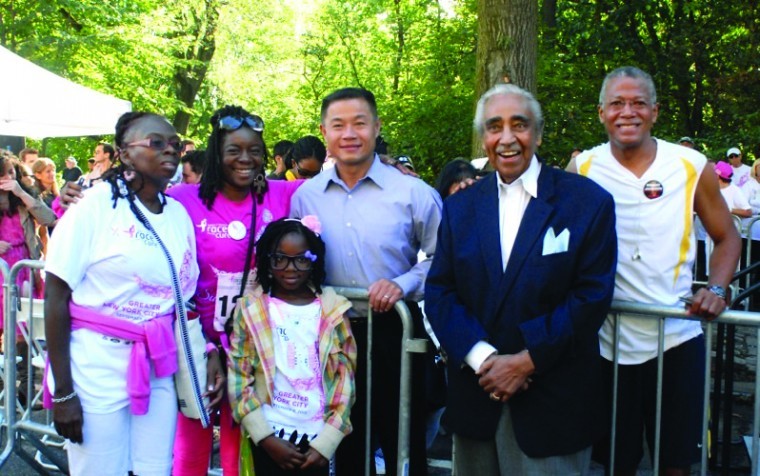 Success at Komen Breast Cancer Walk (39231)