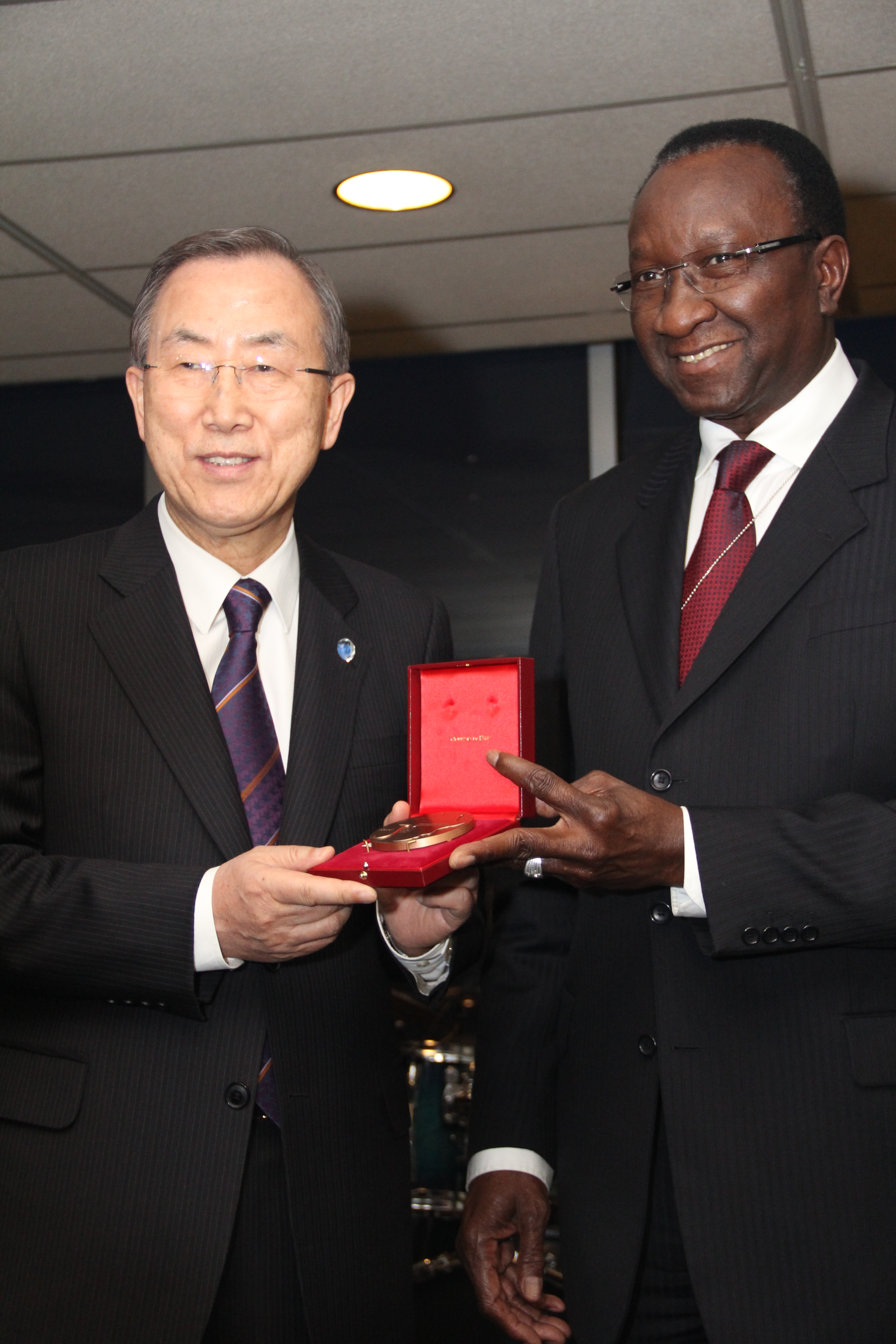 La Francophonie at the United Nations (36457)