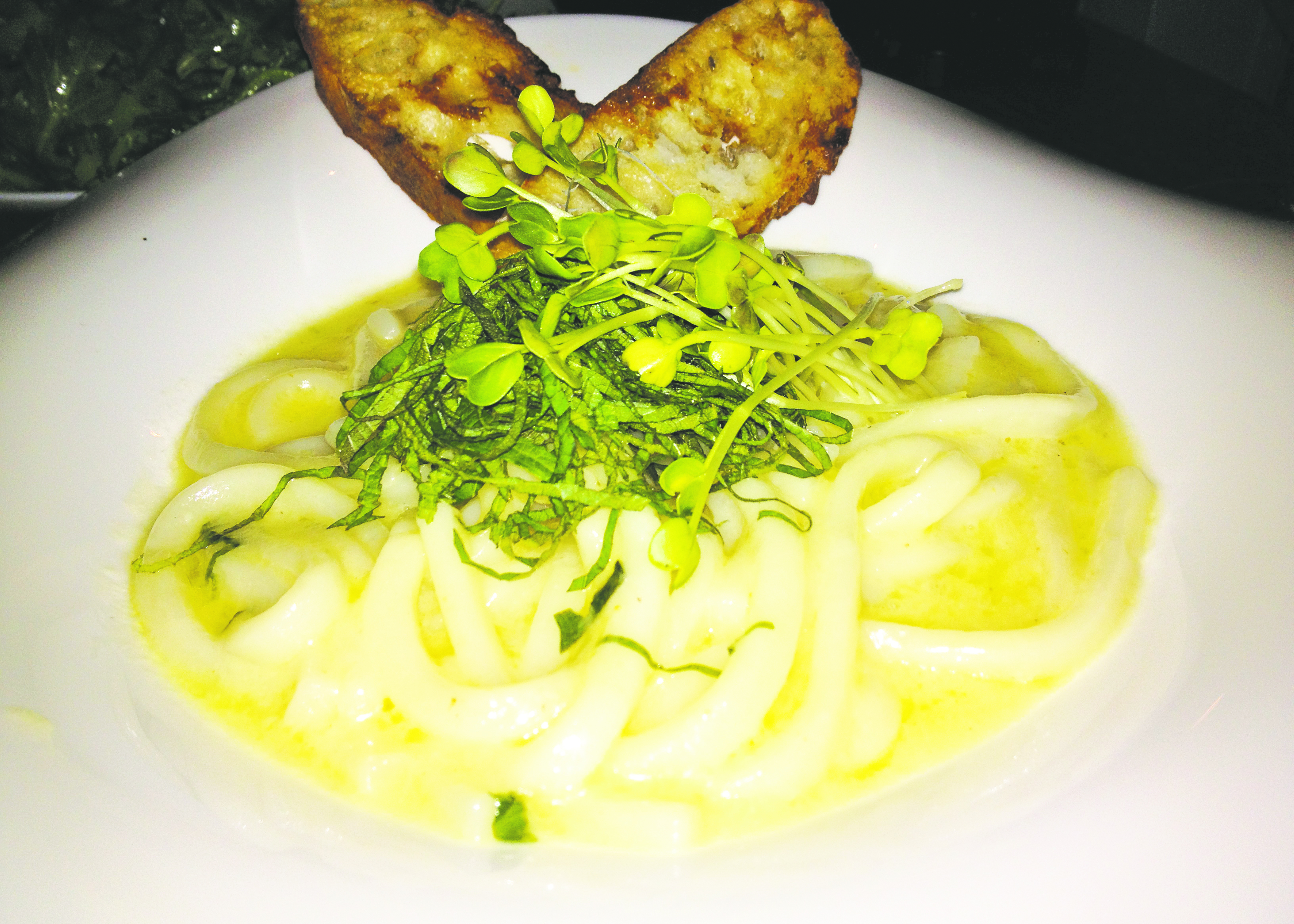 Udon pasta (42701)