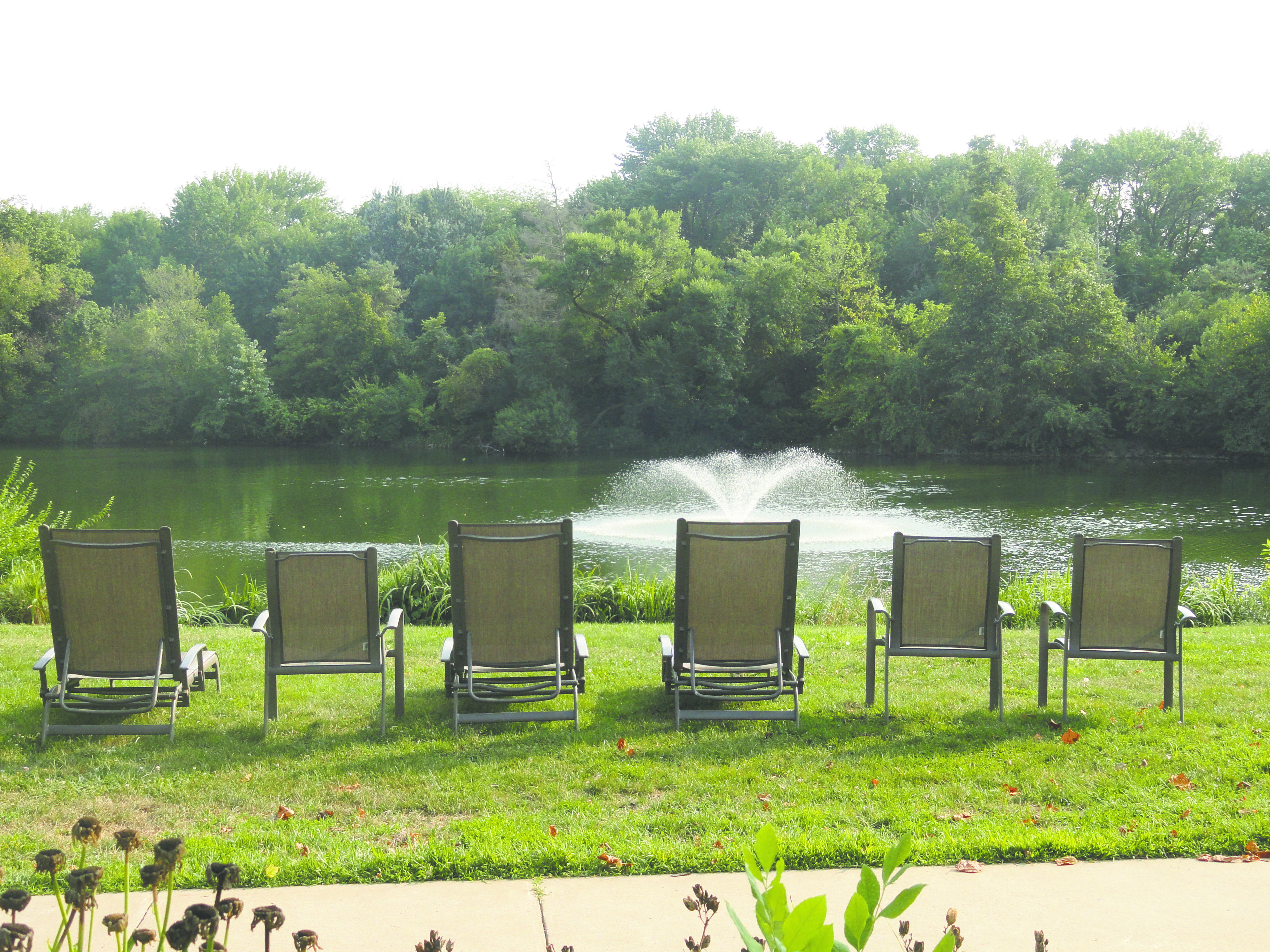 Guests spend a great deal of time overlooking the pond, just enjoying the natural ambiance (62378)