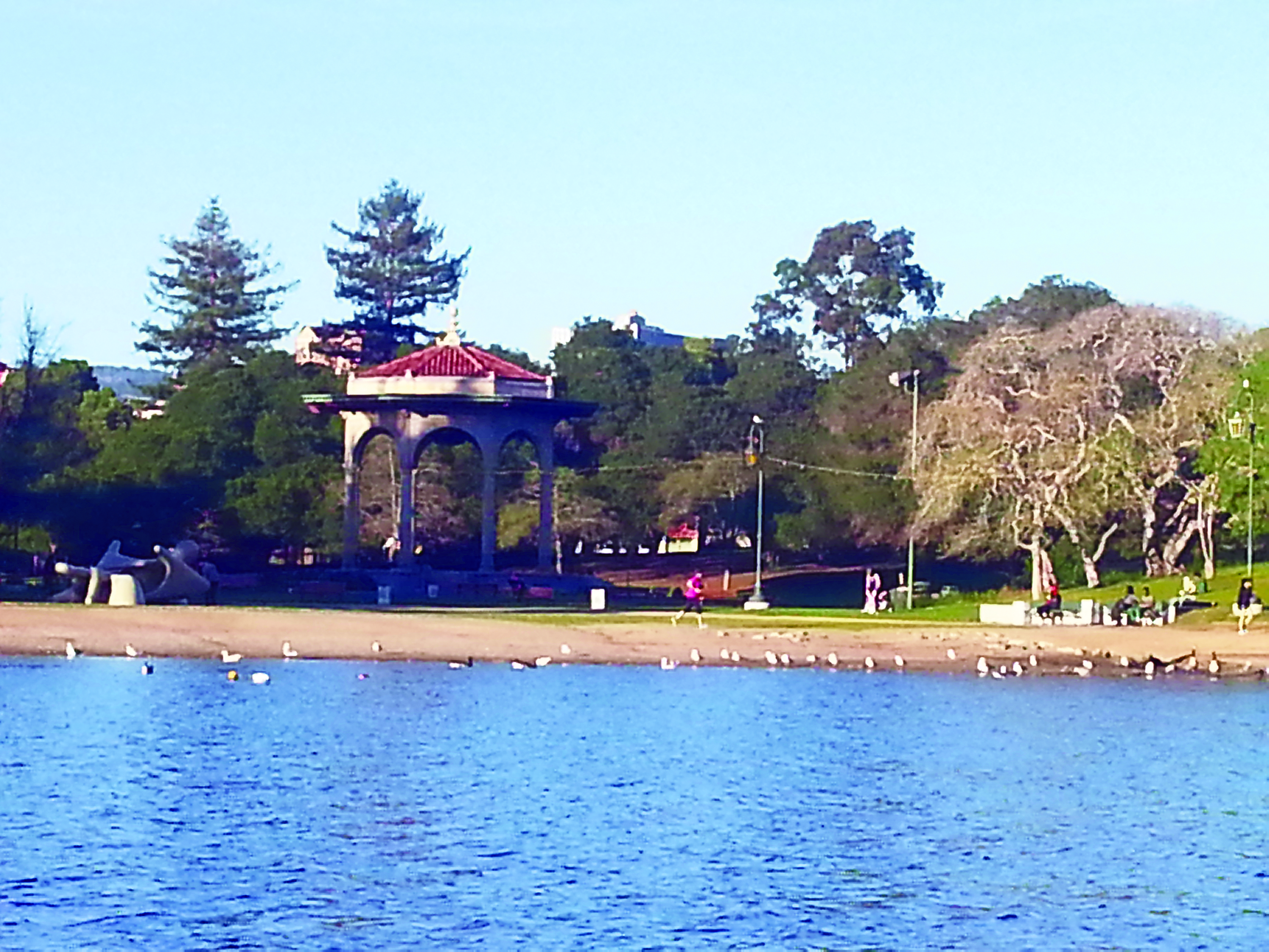 Lake Merritt, which, at 155 acres, is the only natural saltwater lake wholly contained within the border of a U.S. city. (65162)