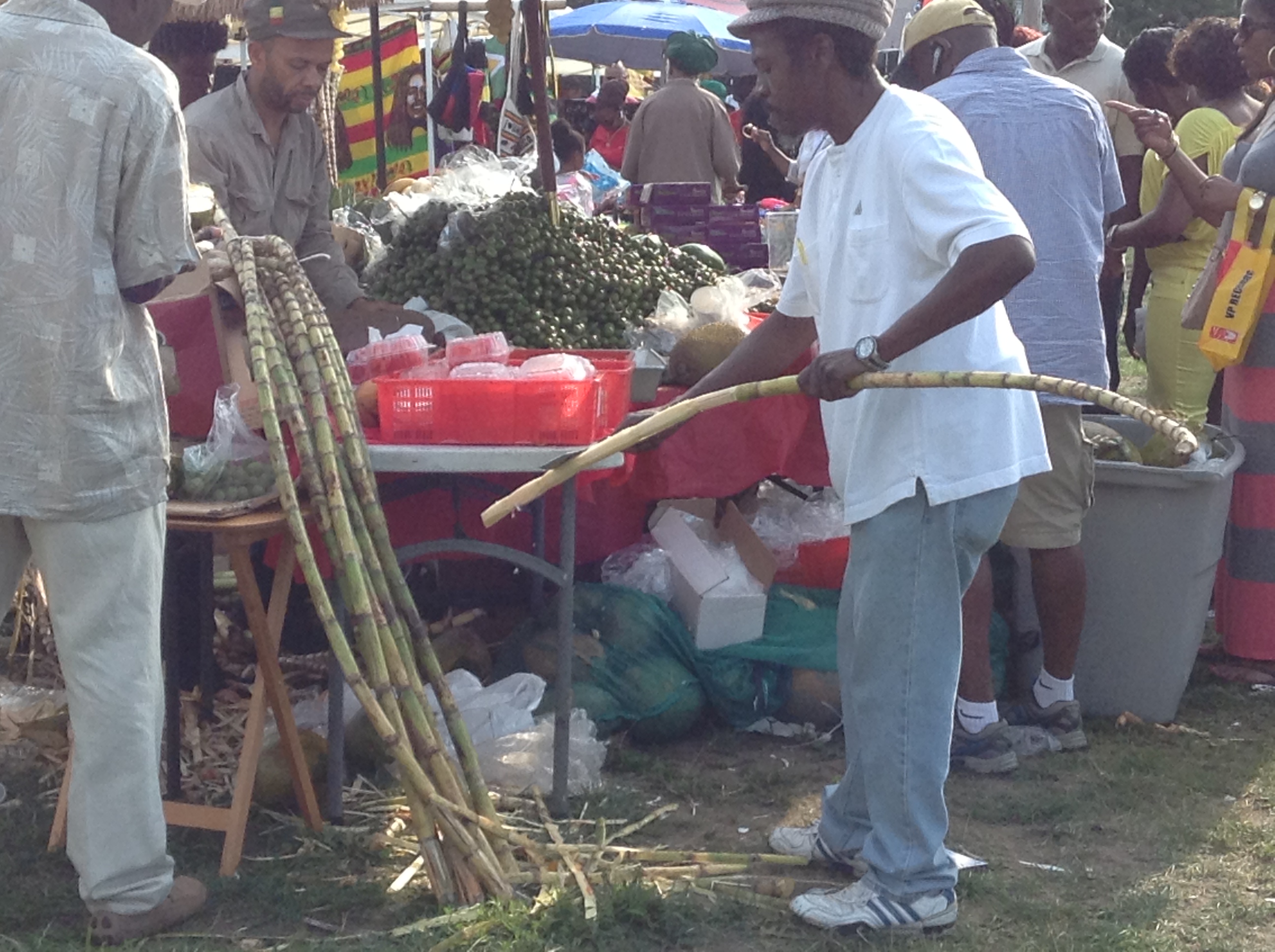 Grace Jamaican Jerk Fest (88624)