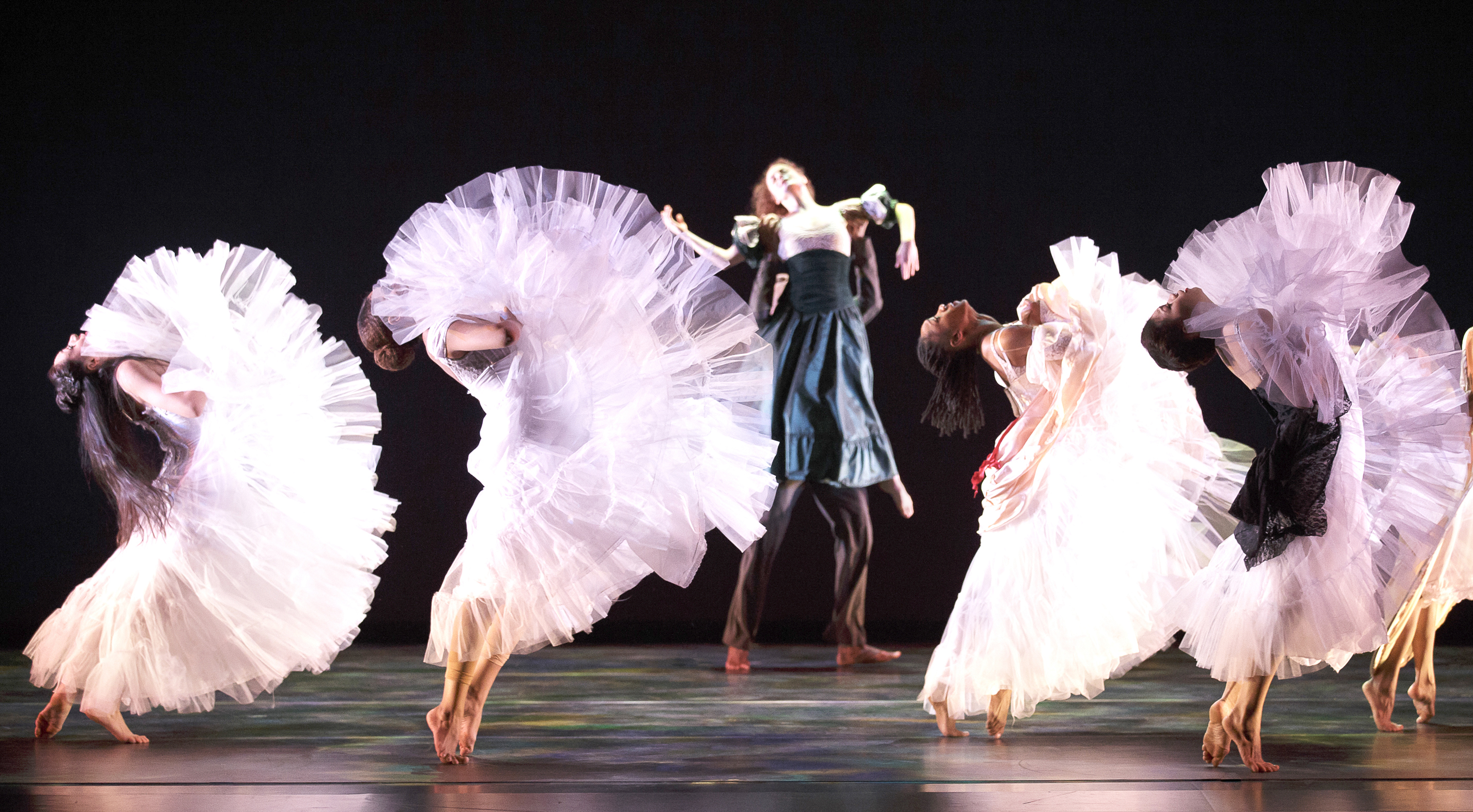 Alvin Ailey American Dance Theater in Jacqulyn Buglisi's 