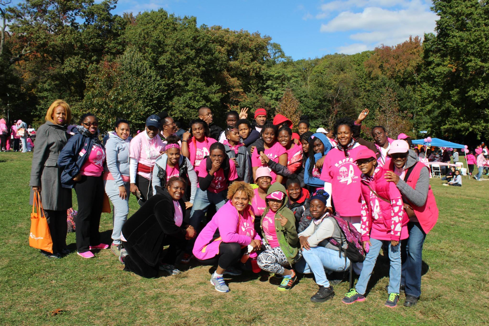 Folk gather for breast cancer run in Prospect Park in 2015 (212641)
