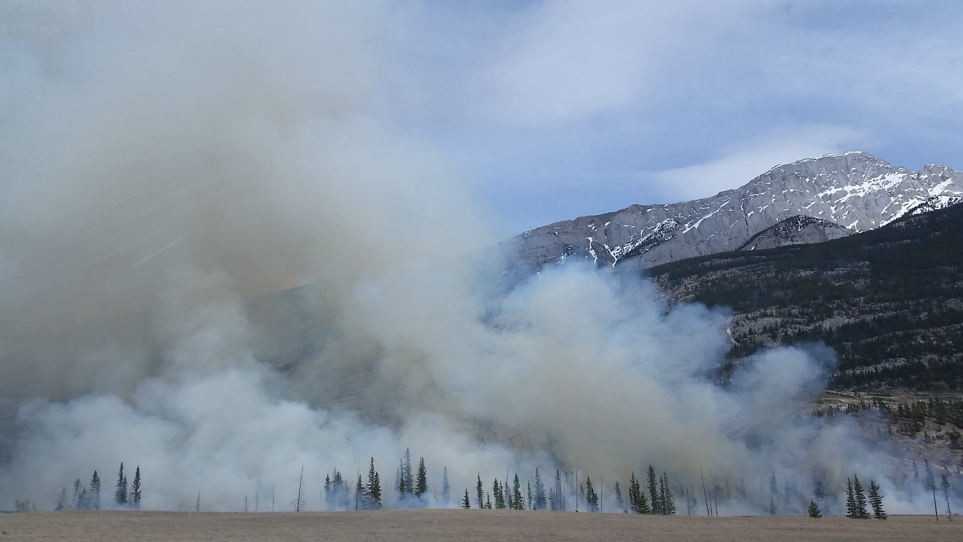 US Forest Service and historically Black colleges unite to boost diversity in wildland firefighting