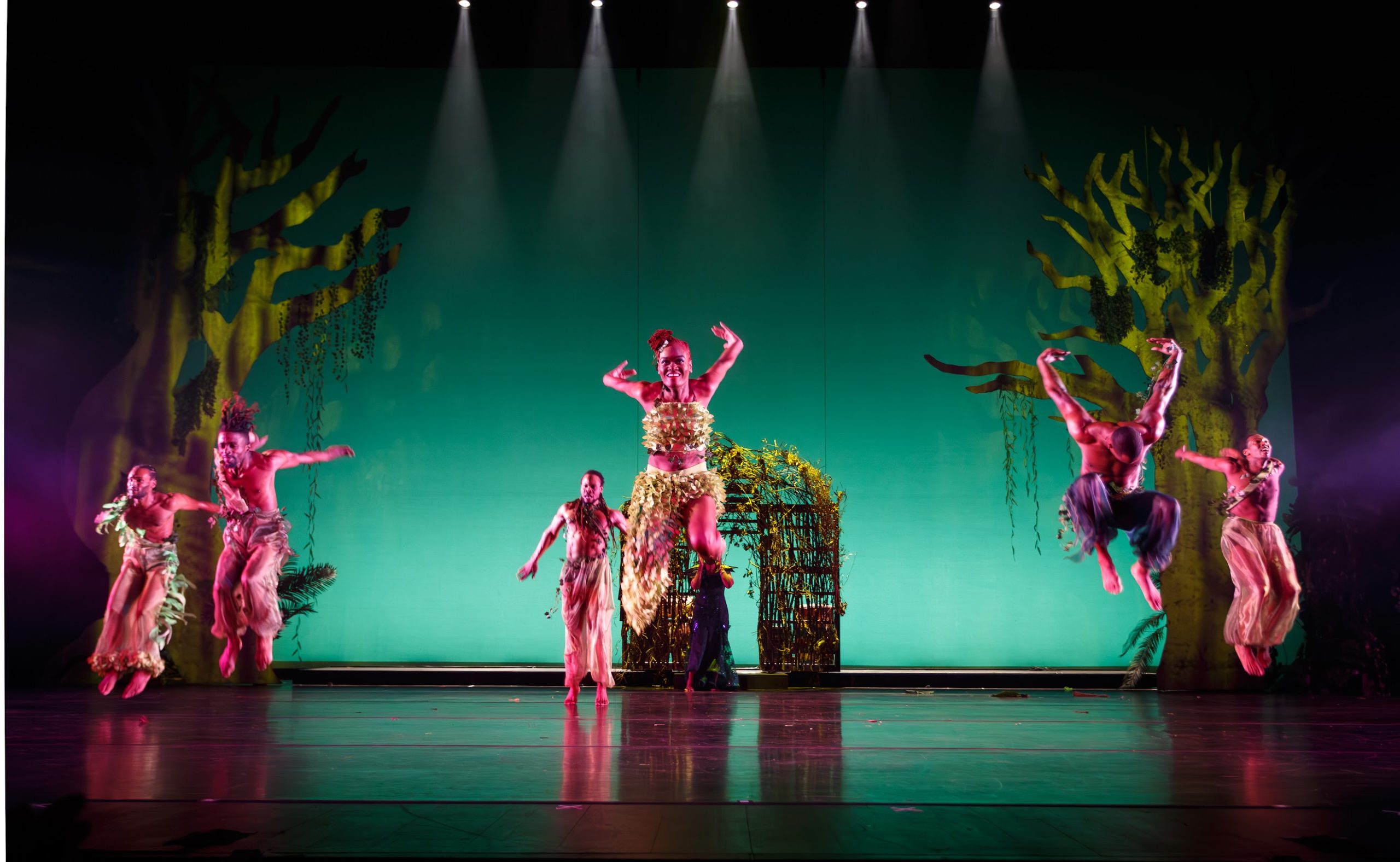 DanceAfrica 2024's opening night performance - Vimarsana News