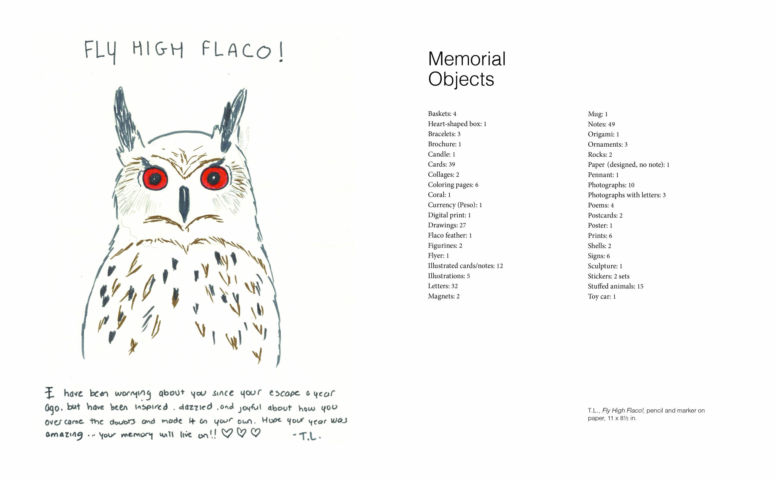 Flaco the owl remembered a year after death