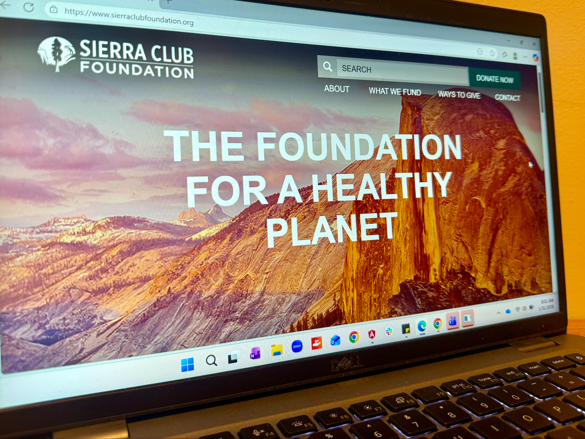 Former Sierra Club Foundation director sues over internal racism