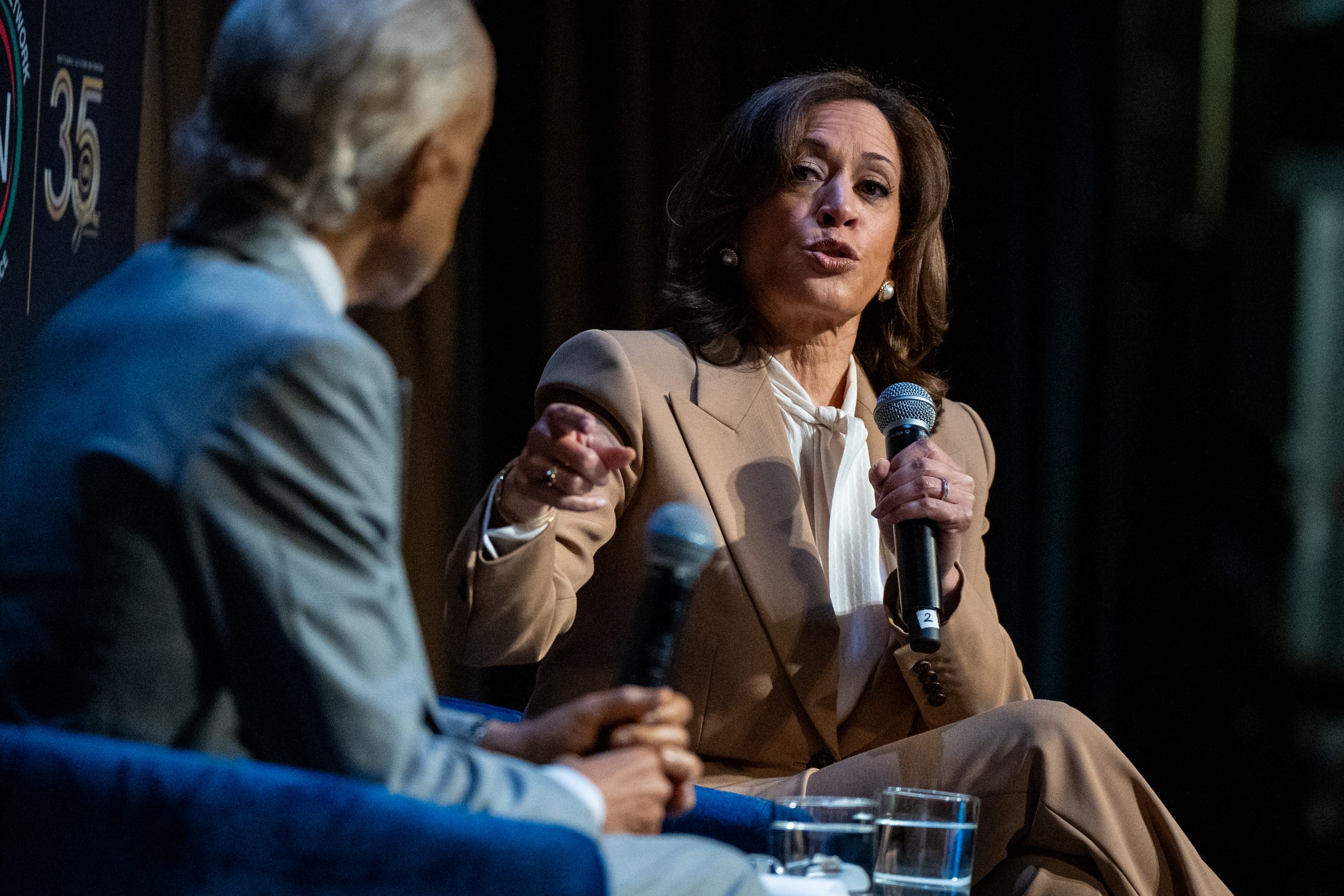 Kamala Harris gives nod to possible 2028 presidential run; says she ‘might’ do it again