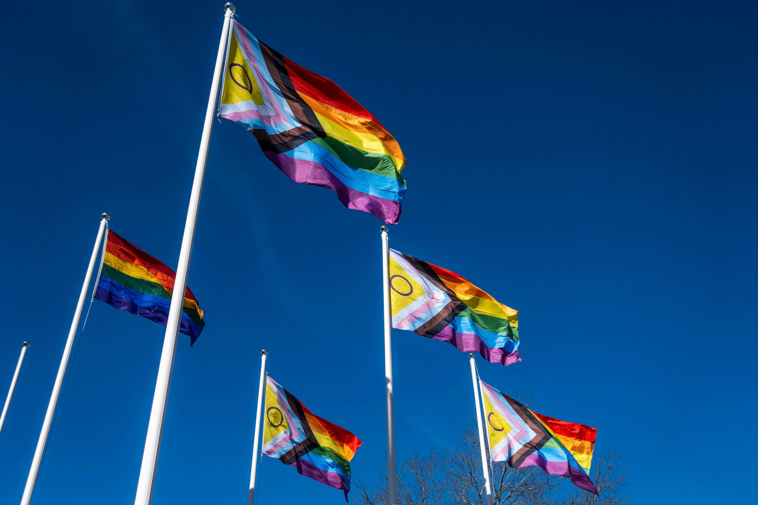Check out these great events during Pride Month